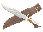 MUELA MAGNUM-26     32M074