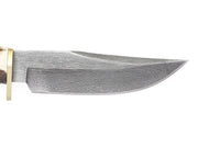 BRACO-DAM     32M289