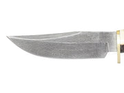 BRACO-DAM     32M289