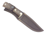 BRACO-11 A     32M340