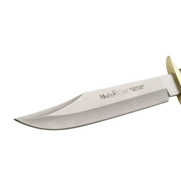 Muela BW-22     32M002